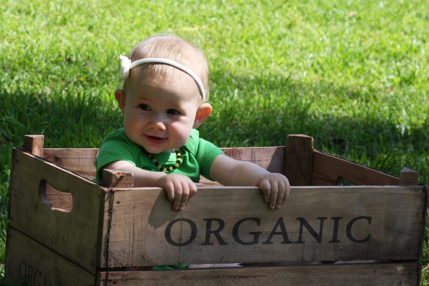 An open letter to meat eaters from a vegan.