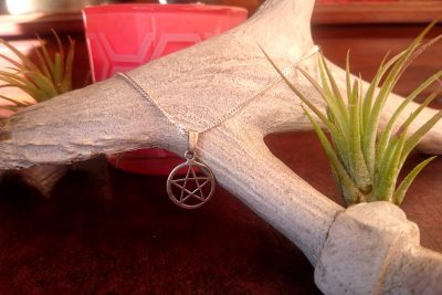 A witch’s familiar: Demon or pet?